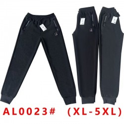 Спорт штани чоловічі 5 шт (1-5XL) фліс DLD_0023