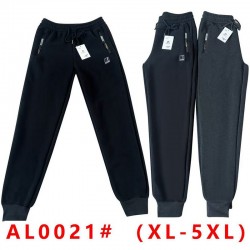 Спорт штани чоловічі 5 шт (1-5XL) фліс DLD_0021