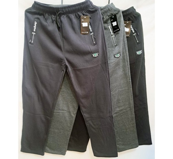 Спорт штани чоловічі 5 шт (M-3XL) фліс DLD_3025