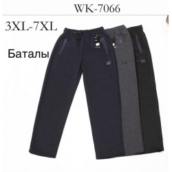Спорт штаны мужские 5 шт (3-7XL) трикотаж DLD_7066