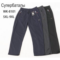 Спорт штаны мужские 5 шт (5-9XL) трикотаж DLD_8101