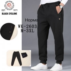 Спорт штаны мужские 5 шт (M-3XL) флис DLD_WK-2603