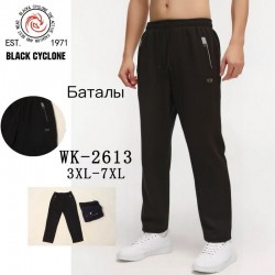 Спорт штаны мужские 5 шт (3-7XL) флис DLD_WK-2613