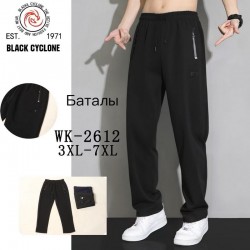 Спорт штаны мужские 5 шт (3-7XL) флис DLD_WK-2612