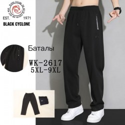 Спорт штаны мужские 5 шт (5-9XL) флис DLD_WK-2617