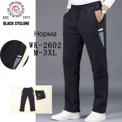 Спорт штаны мужские 5 шт (M-3XL) флис DLD_WK-2602