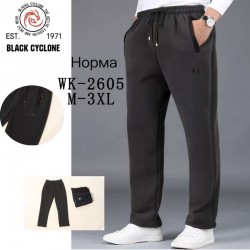 Спорт штаны мужские 5 шт (M-3XL) флис DLD_WK-2605