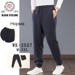 Спорт штаны мужские 5 шт (M-3XL) флис DLD_WK-2557