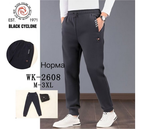 Спорт штаны мужские 5 шт (M-3XL) флис DLD_WK-2608