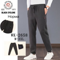Спорт штаны мужские 5 шт (M-3XL) флис DLD_WK-2658