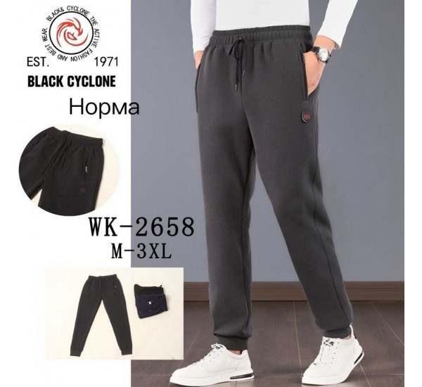 Спорт штаны мужские 5 шт (M-3XL) флис DLD_WK-2658
