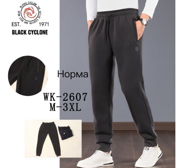 Спорт штаны мужские 5 шт (M-3XL) флис DLD_WK-2607