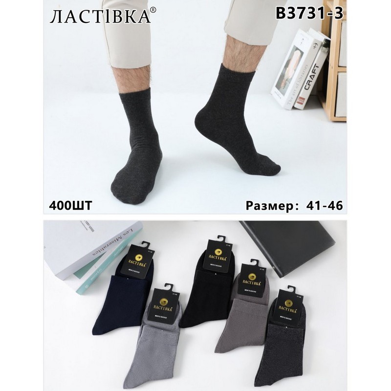 Шкарпетки чоловічі 10 шт (41-46 р) коттон KiE_B3731-3