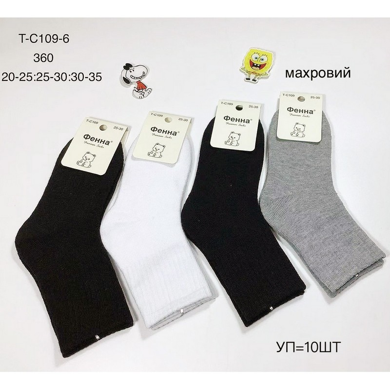 Шкарпетки дитячі 10 шт (20-35 р) махра KiE_T-C109-6
