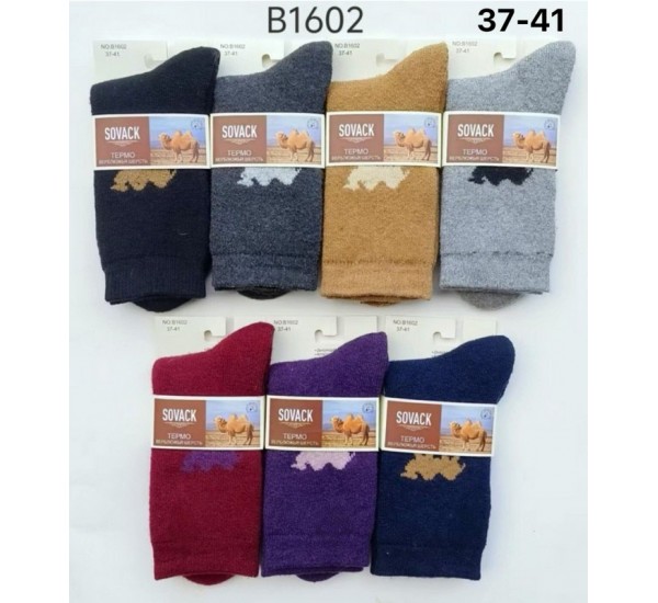 Шкарпетки жіночі 10 шт (37-41 р) ангора/махра KiE_B1602
