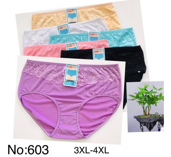 Труси жіночі батал 12 шт (3-4XL) коттон KiE_603