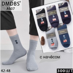 Шкарпетки чоловічі 10 шт (42-48 р) начіс KiE_A037