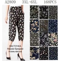 Бриджи женские, холодок 12 шт (3-6XL) KiE_A2809