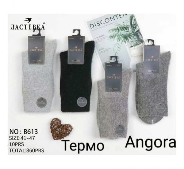 Шкарпетки чоловічі 10 шт (41-47 р) ангора KiE_B613