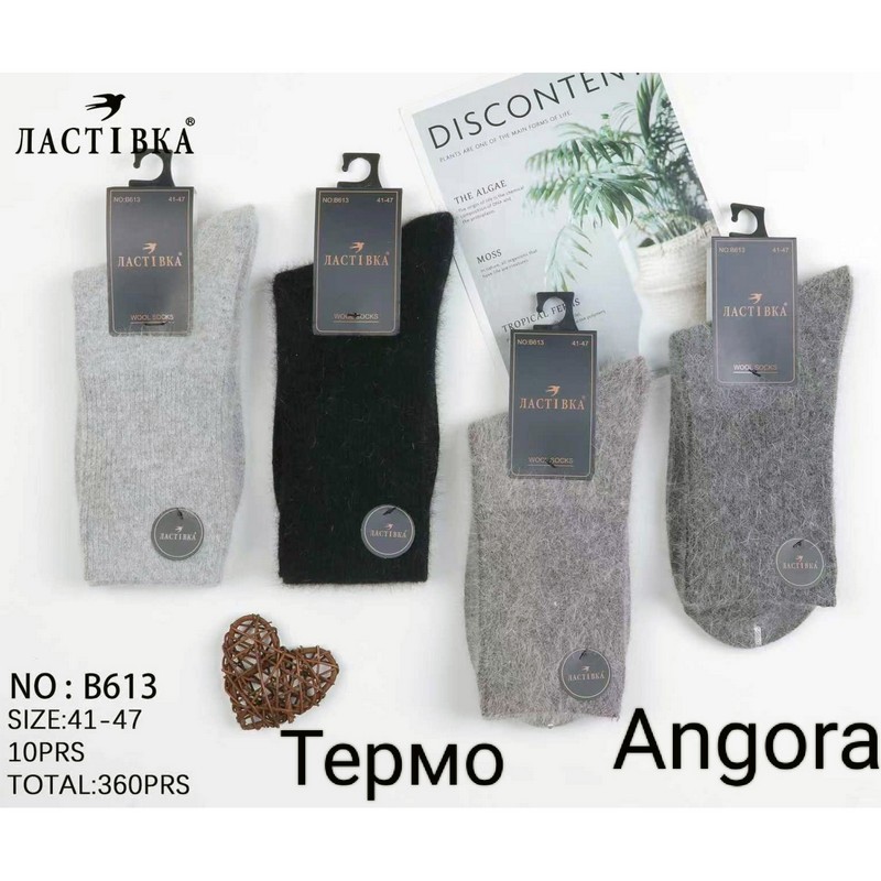 Носки мужские 10 шт (41-47 р) ангора KiE_B613