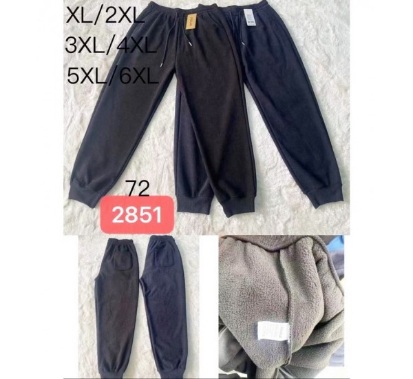 Спорт штани чоловічі 6 шт (1-6XL) фліс KiE_2851