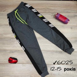 Спорт штаны для мальчиков 4 шт двунить (12-15 лет) MiLi_6025