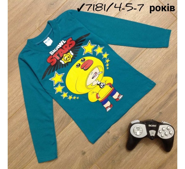 Батник для хлопчиків 5 шт бавовна (4-8 років) MiLi_7181a