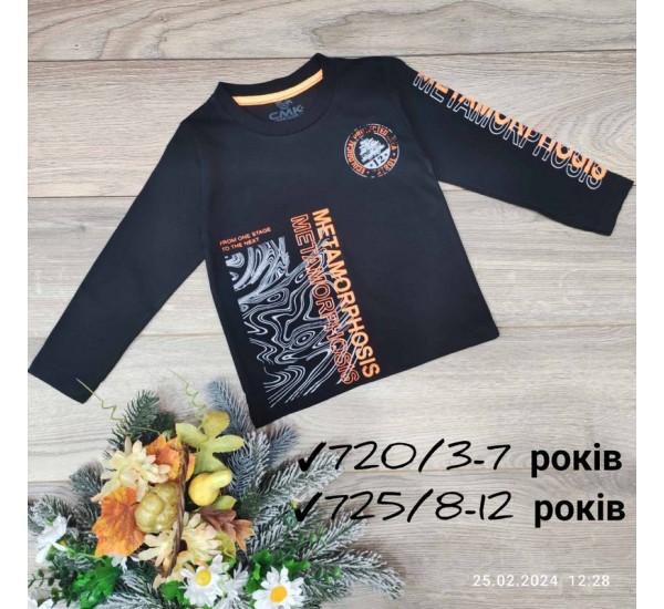 Батник для дівчаток 5 шт бавовна (3-7 років) MiLi_720b