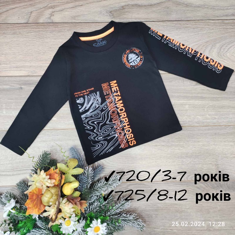 Батник для дівчаток 5 шт бавовна (3-7 років) MiLi_720b