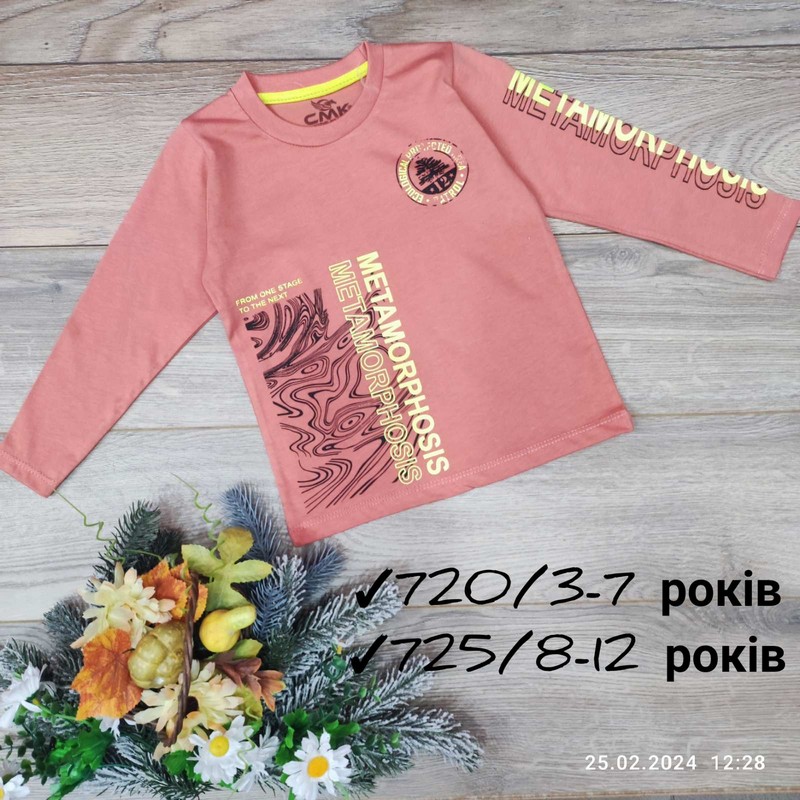 Батник для дівчаток 5 шт бавовна (3-7 років) MiLi_720c