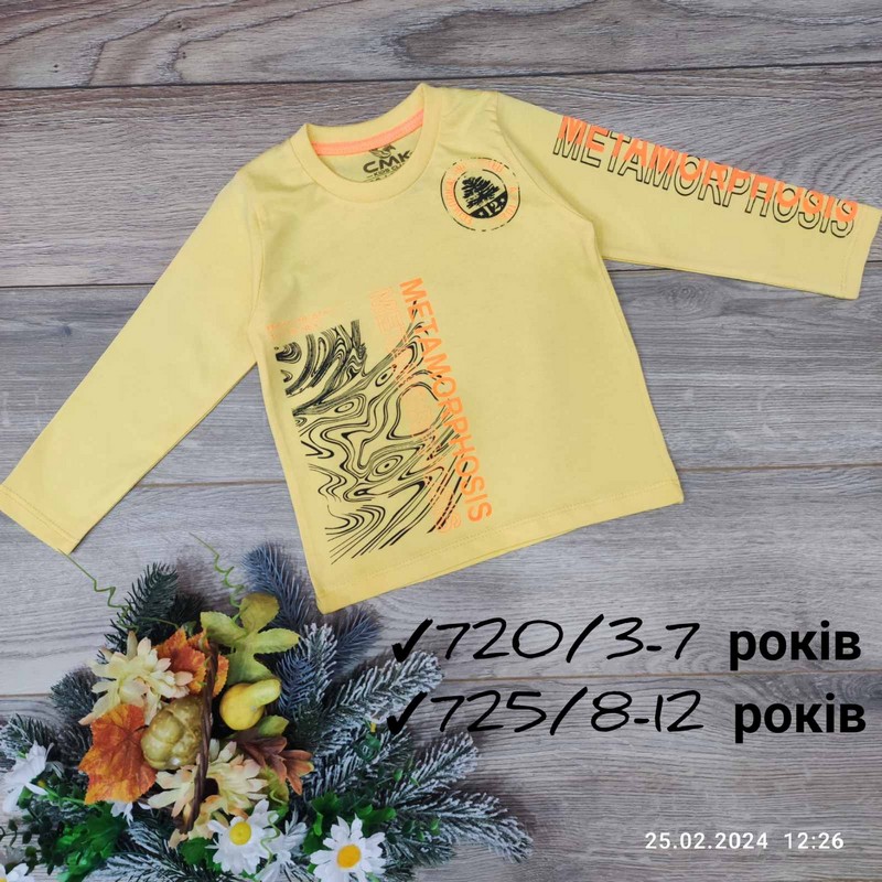 Батник для дівчаток 5 шт бавовна (3-7 років) MiLi_720e