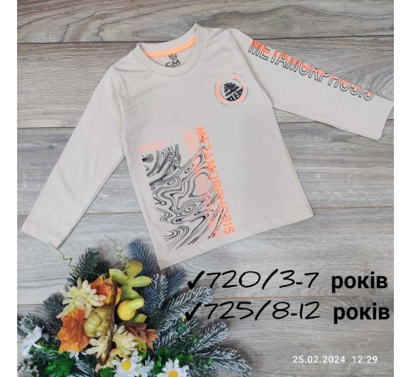 Батник для дівчаток 5 шт бавовна (8-12 років) MiLi_725a