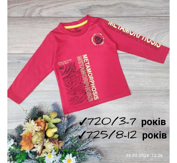 Батник для девочек 5 шт коттон (8-12 лет) MiLi_725e