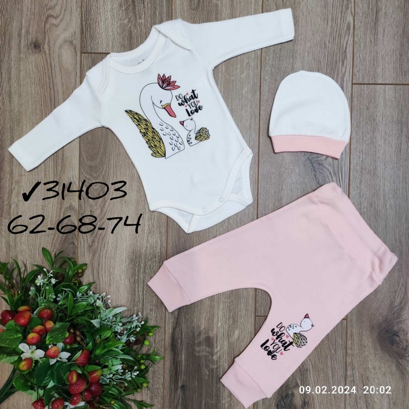 Костюм 3-ка для младенцев 2 шт интерлок (62-68 см) MiLi_31403