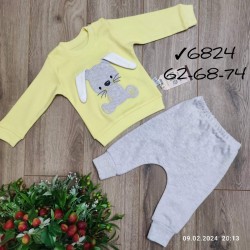 Костюм для младенцев 3 шт интерлок (3-9 мес) MiLi_6824b