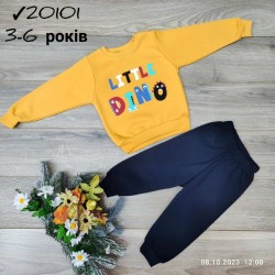 Костюм для хлопчиків 4 шт тринитка/фліс (3-6 років) MiLi_20101f