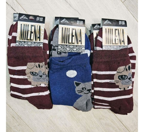 Шкарпетки жіночі MILENA 12 шт (37-39 р) стрейч/коттон NvS_703b