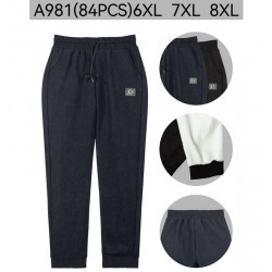 Брюки женские 6 шт (6-8XL) флис PaH_A981