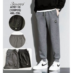 Спорт штаны мужские 6 шт (4-7XL) коттон PaH_A787-10