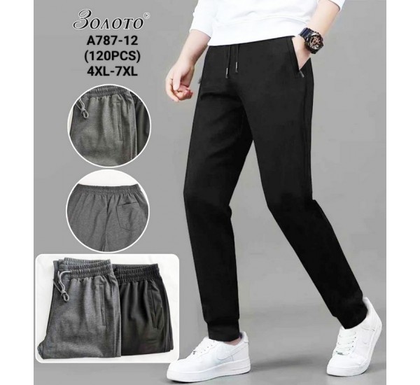 Спорт штани чоловічі 6 шт (4-7XL) коттон PaH_A787-12