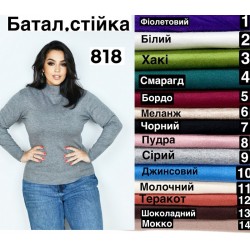 Гольф жіночий 3 шт (54-58 р) кашемір RZ4492_818