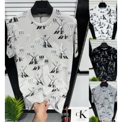 Футболка мужская БРЕНД (S-XXL) коттон 5 шт RZ3560_050203