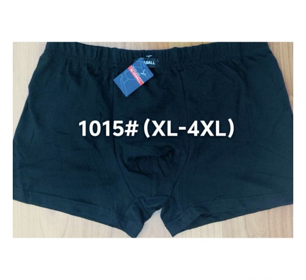 Труси чоловічі 12 шт (1-4XL) масло RZ6000_1015