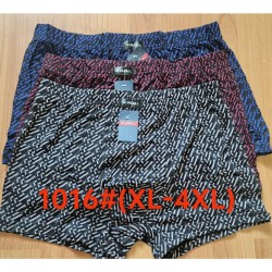 Труси чоловічі 12 шт (1-4XL) коттон RZ6000_1016