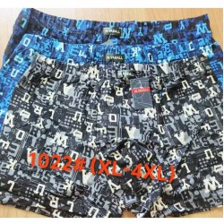 Труси чоловічі 12 шт (1-4XL) коттон RZ6000_1022