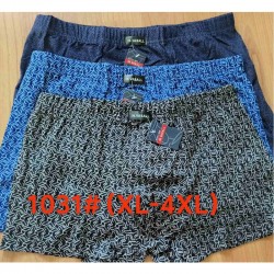 Труси чоловічі 12 шт (1-4XL) коттон RZ6000_1031