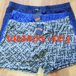 Труси чоловічі 12 шт (1-4XL) коттон RZ6000_1033