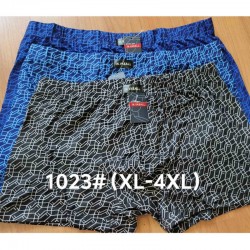 Труси чоловічі 12 шт (1-4XL) коттон RZ6000_1023