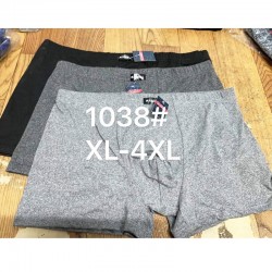 Труси чоловічі 12 шт (1-4XL) коттон RZ6000_1038