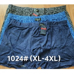 Труси чоловічі 12 шт (1-4XL) коттон RZ6000_1024